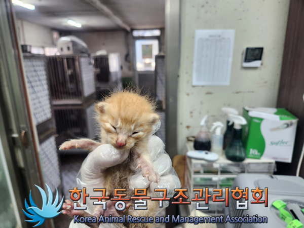 한국동물구조관리협회_441414202400984